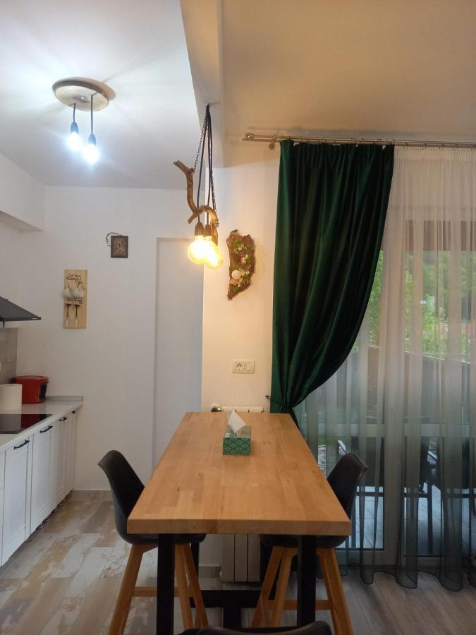 Belleview Garden Studio Apartment Sinaia Exterior photo