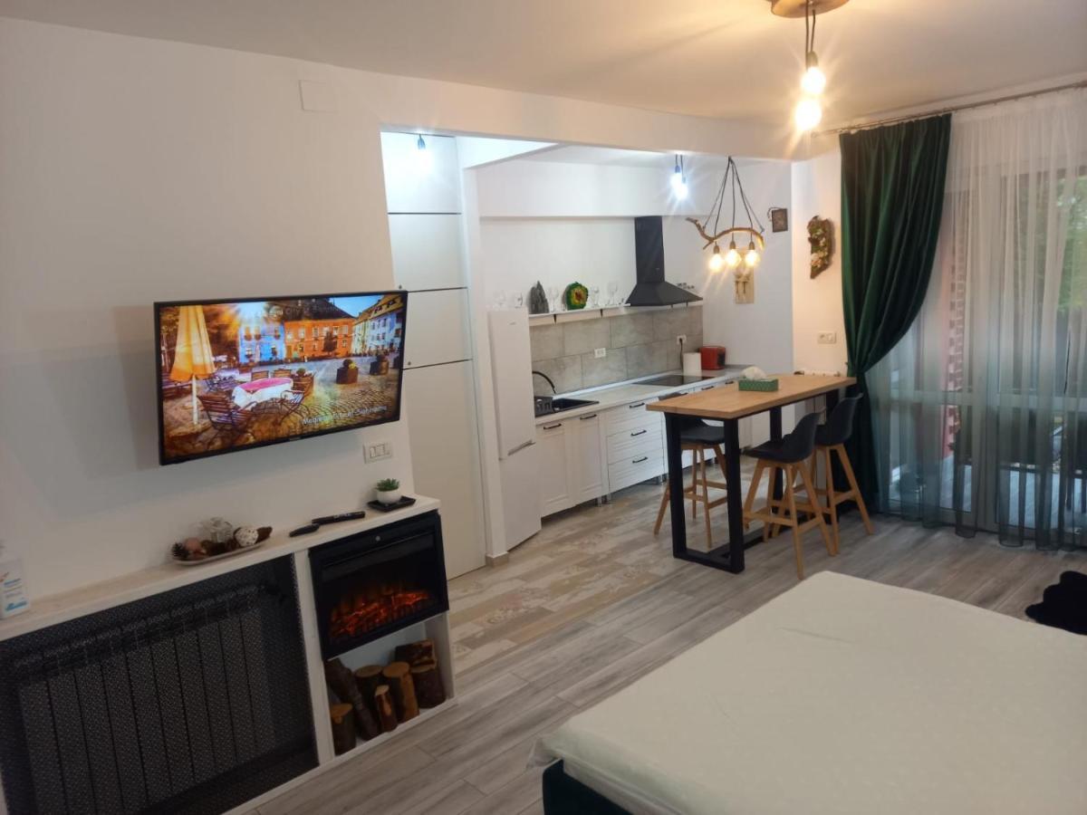 Belleview Garden Studio Apartment Sinaia Exterior photo
